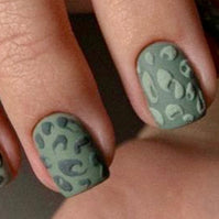 1. animal N10