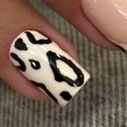 1. animal N12