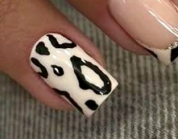 1. animal N12