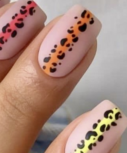 1. animal N14
