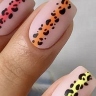 1. animal N14