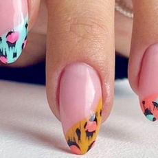 1. animal N15