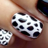 1. animal N18
