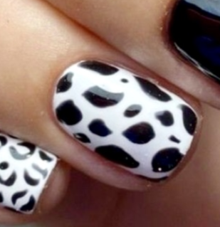1. animal N18