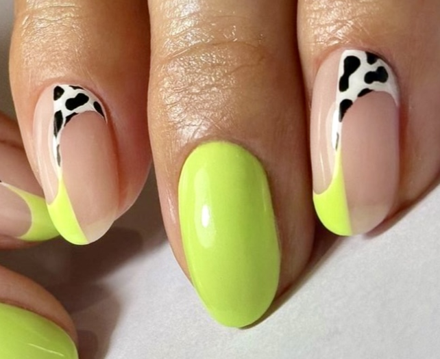 1. animal N22
