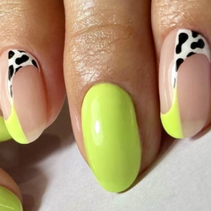 1. animal N22