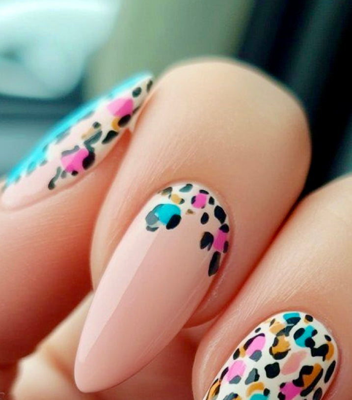 1. animal N2