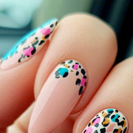 1. animal N2