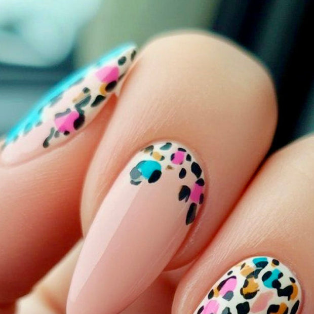 1. animal N2