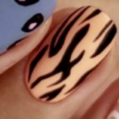 1. animal N30