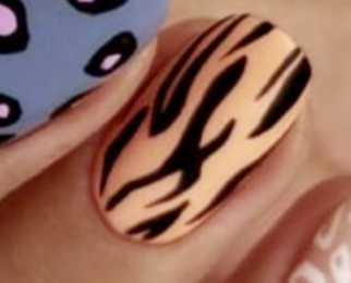 1. animal N30