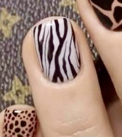 1. animal N32