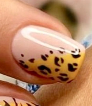 1. animal N3