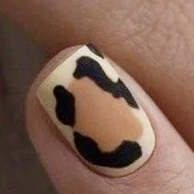 1. animal N4
