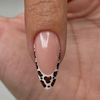 1. animal N5