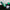11. Chrome vert