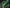 3. Holo vert foncé