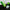 5. Chrome vert-jaune