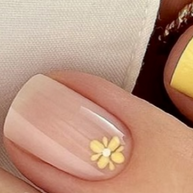Supplément Nail Art