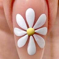 Supplément Nail Art