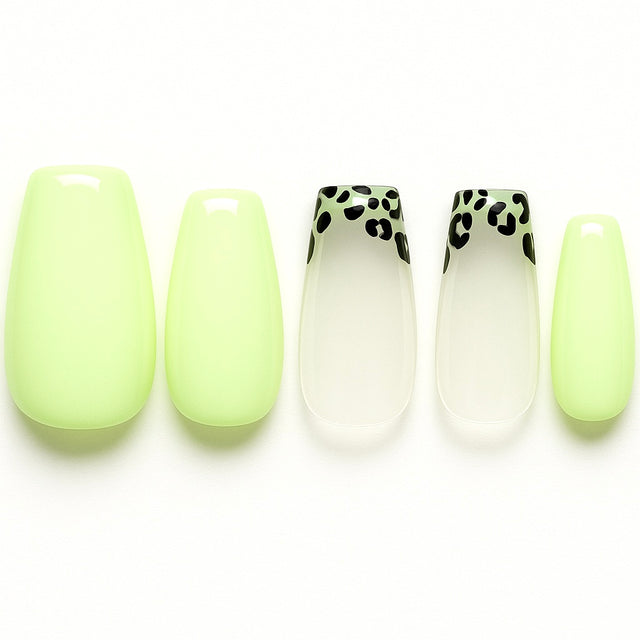 Coffret Sunny Léopard