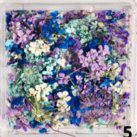 Mélange 5