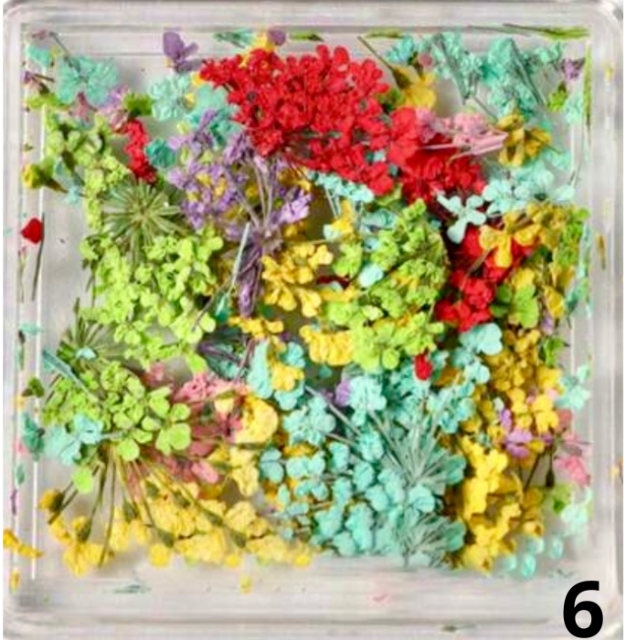 Mélange 6